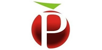 Puljet