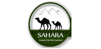 Sahara Computers